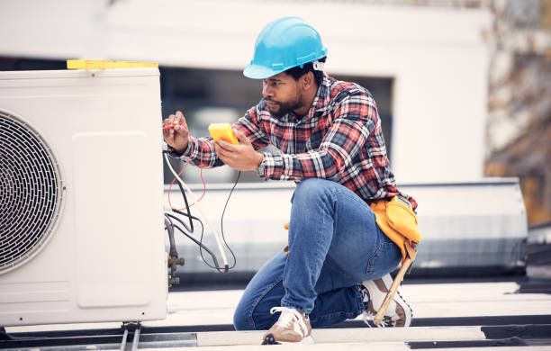 Best Electrician for Home Renovation  in Lake Summerset, IL