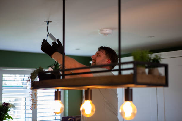 Best Commercial Electrician Services  in Lake Summerset, IL