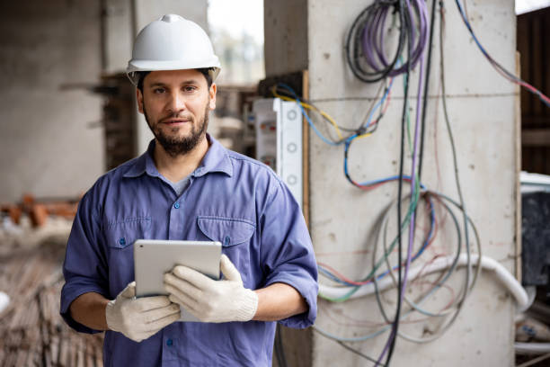 Best Electric Panel Repair  in Lake Summerset, IL