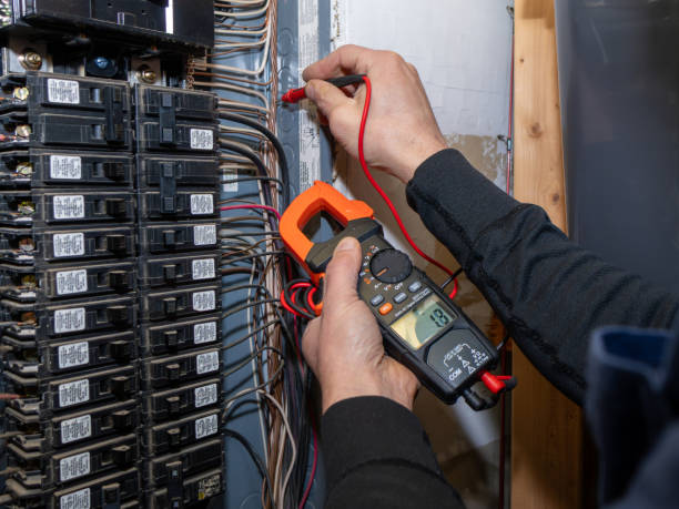 Best Electrical Repair Services  in Lake Summerset, IL